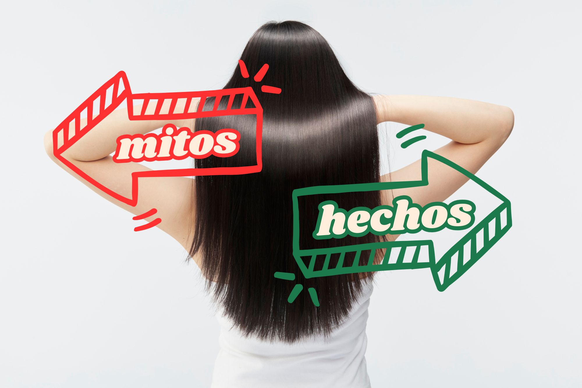 SG CENTROS CAPILARES MITOS SOBRE EL CABELLO