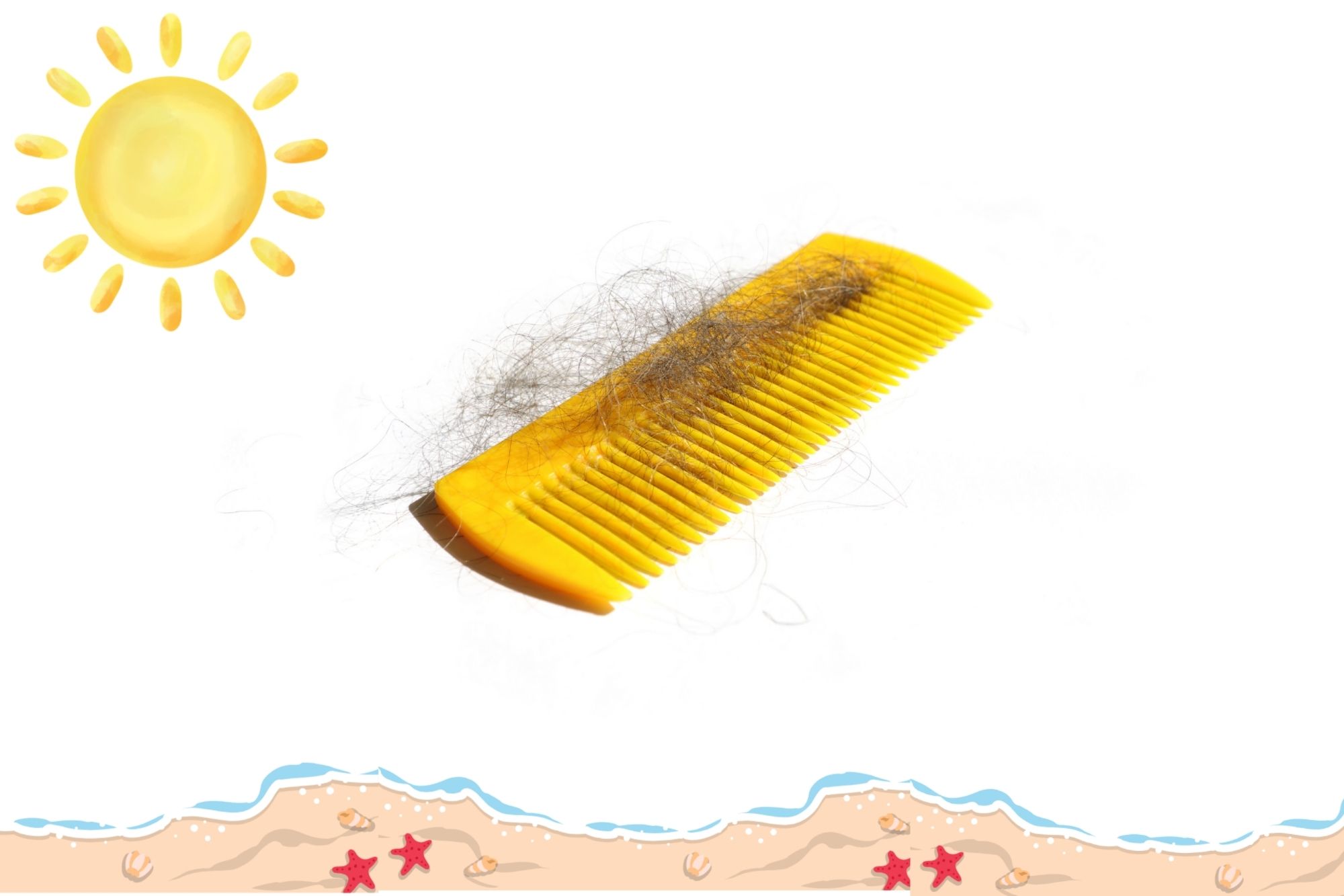 Sg Centros Capilares caída del cabello en verano
